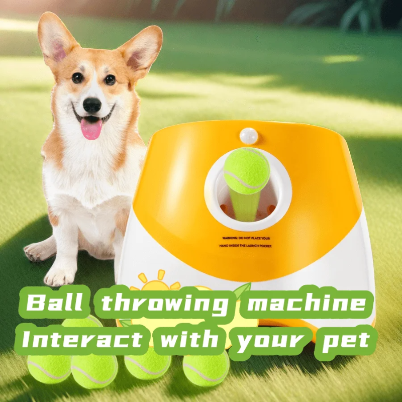 Dog Launcher Automatic Dogs Ch - Pinball Machine ulasan dan harga